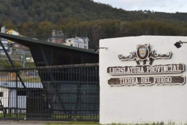 Tierra del Fuego: los K impulsan una ley para que niños de toda edad cambien de género