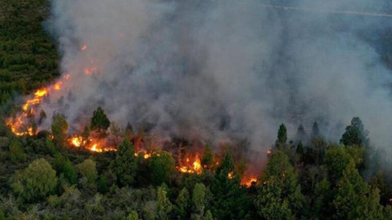 Bariloche: el incendio en el Parque Nacional Nahuel Huapi arrasó más de 3.500 hectáreas