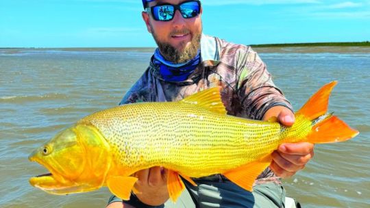 Verano en el Delta del Plata en busca de dorados