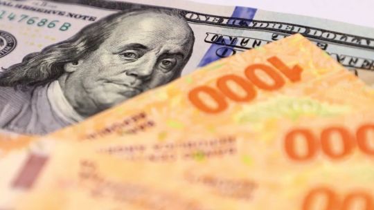 Cambios económicos: el gobierno avanza hacia una flexibilización cambiaria gradual