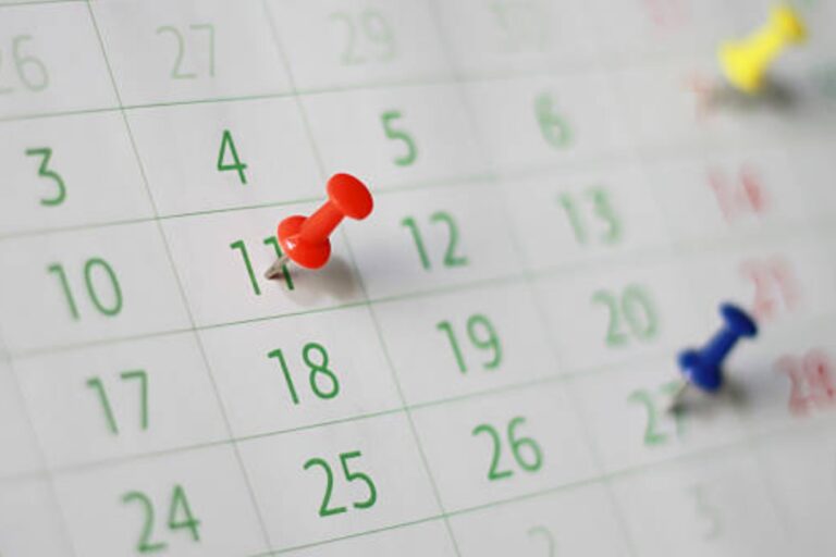 Hay feriados en febrero 2025?