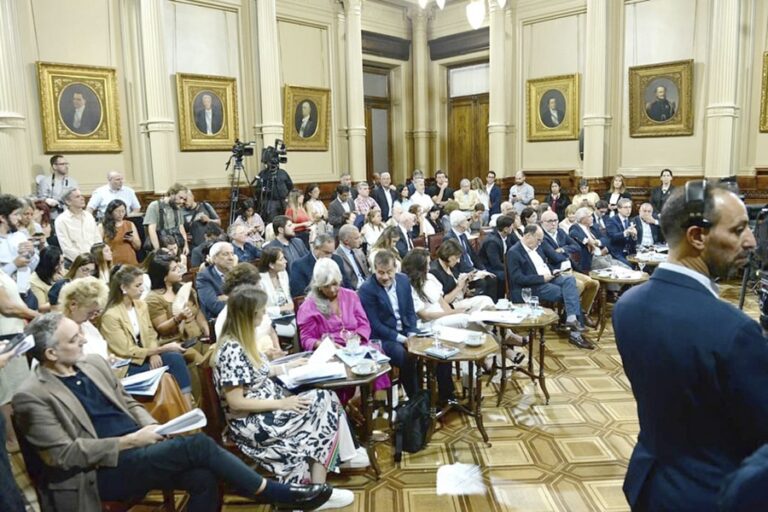 El Senado sesionará para suspender las PASO