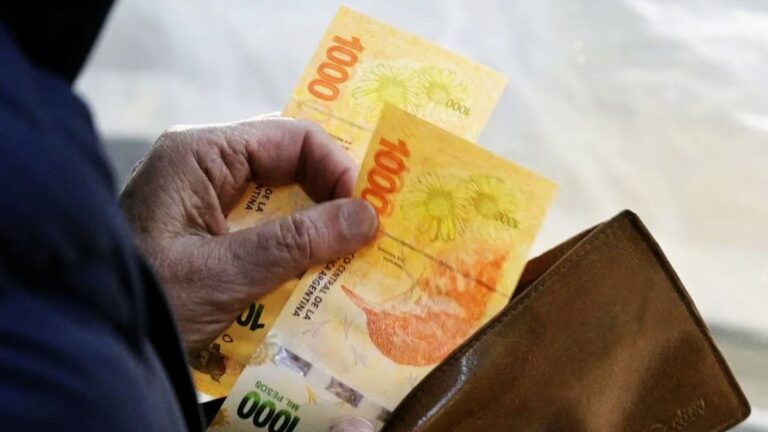 El Gobierno convocó al Consejo del Salario para fijar el nuevo mínimo, vital y móvil