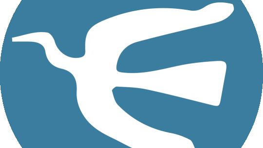 Así no gana el mejor