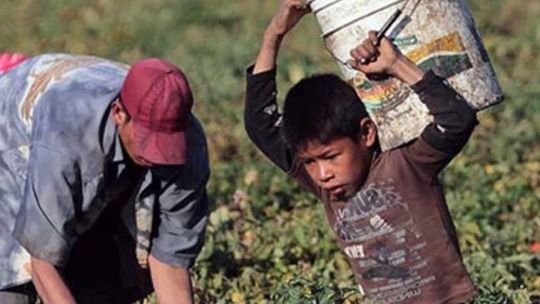 Día Mundial contra el Trabajo Infantil: por qué se conmemora el 12 de junio