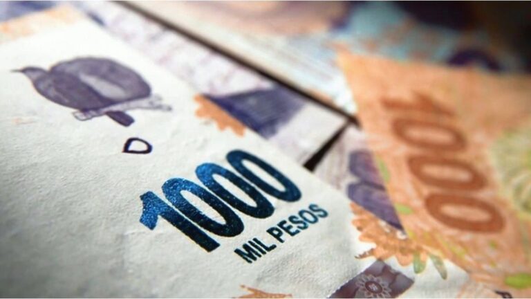 Tres de cada 10 argentinos utilizarán el aguinaldo para cubrir necesidades básicas