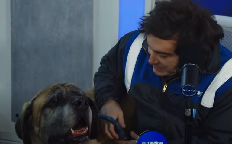 Milei llevó a su perro Conan a un programa de streaming