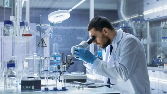 Se entregaron los premios «Milstein 2025» a las mejores investigaciones de Biotecnología y Salud