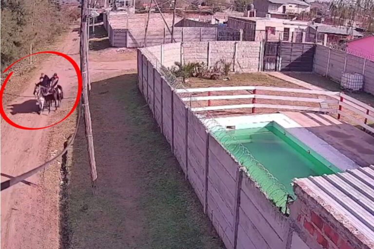 Florencio Varela: iban a caballo, robaron una cabra y gatillaron contra un policía