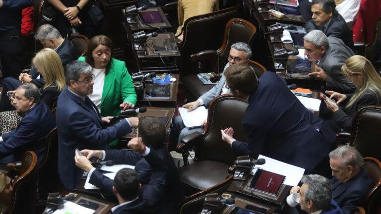 El día después de las facultades delegadas: diputados preparan avanzada sobre los decretos de Javier Milei