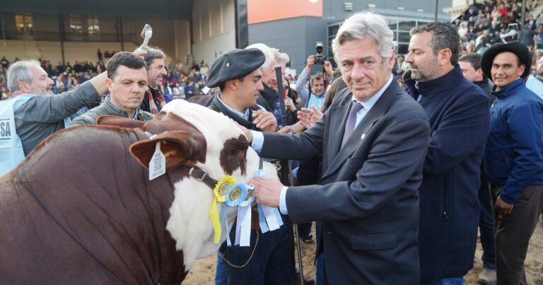 Nicolás Pino: No me disgusta la política, uno le va tomando el gusto