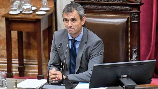 Guerra de trolls libertarios: la cuenta «trucha» de Martín Menem y Santiago Caputo, el «infante operado»