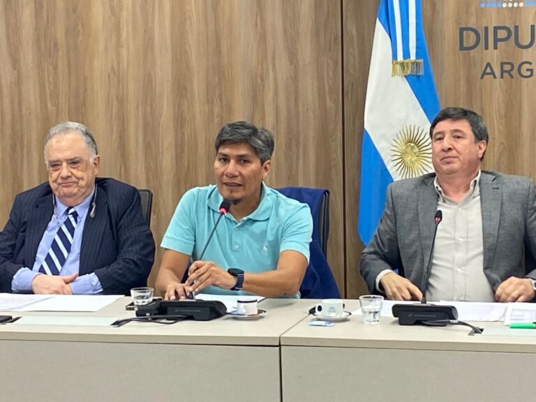 Alejandro Vilca: «La AnDis no puede ser la caja chica del Gobierno»