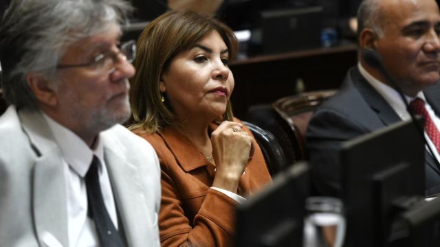 VIDEO | «No creo que este Gobierno llegue al 26 de octubre»: la polémica frase de una senadora kirchnerista