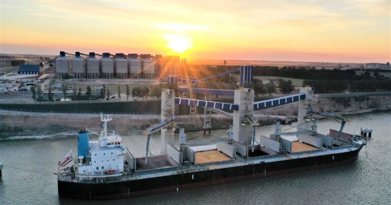 Cuáles son las cuatro cerealeras que garantizarán la llegada de US$ 7.000 millones?