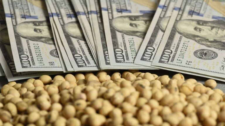 Las exportaciones del agro marcaron un récord y ya completaron el 60% del cupo establecido para las retenciones cero