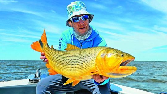 Trampolín a los dorados del Uruguay