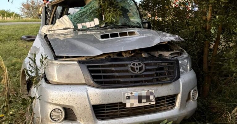 Una familia que volvía de la costa despistó con su camioneta y chocó contra un árbol: murieron el bebé y su papá